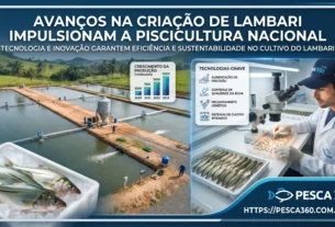 Instituto de Pesca fortalece a lambaricultura e abre novos caminhos para a produção de lambari no Brasil