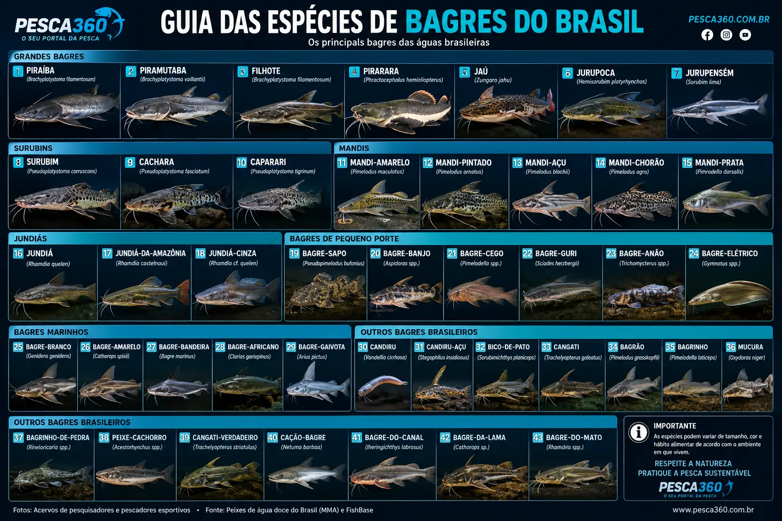 Guia das Espécies de Bagres do Brasil