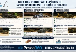 Os Fascinantes Cascudos do Brasil: Um Guia com as Principais Espécies