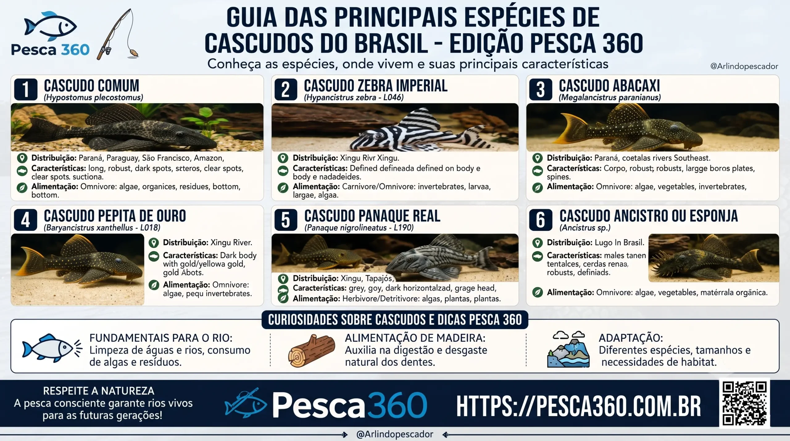 Os Fascinantes Cascudos do Brasil: Um Guia com as Principais Espécies