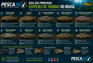 Guia Completo das Espécies de Traíras do Brasil