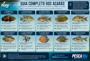 Conheça as Principais Espécies de Ciclídeos da América do Sul
