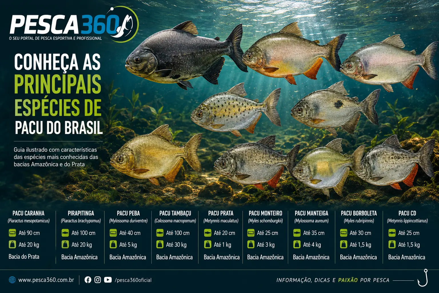 Guia das Espécies de Pacu: Diversidade, Tamanho e Peso na América do Sul