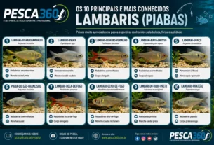 Os 10 Lambaris Mais Conhecidos do Brasil – Guia Ilustrado das Piabas