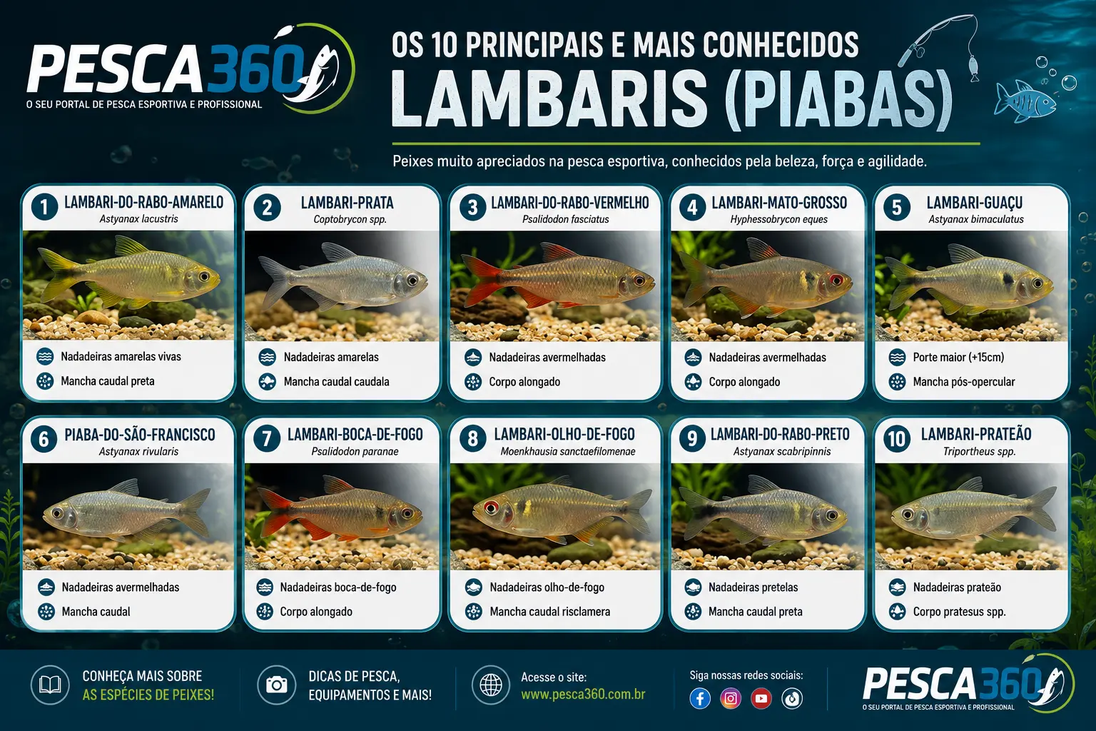 Os 10 Lambaris Mais Conhecidos do Brasil – Guia Ilustrado das Piabas