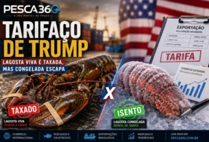 Tarifaço de Trump: lagosta viva é taxada, mas congelada escapa; veja lista de peixes e crustáceos isentos e tarifados